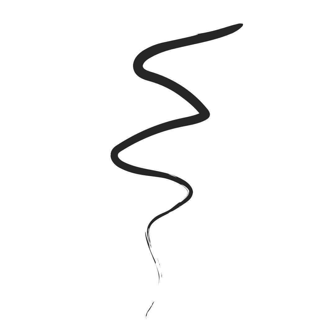 water-proof and smudge-proof Liquid Luck Silky Eyeliner by House of Makeup